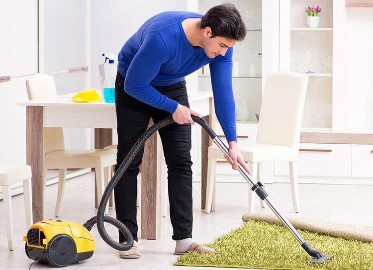 Best Vacuum For Pet Hair