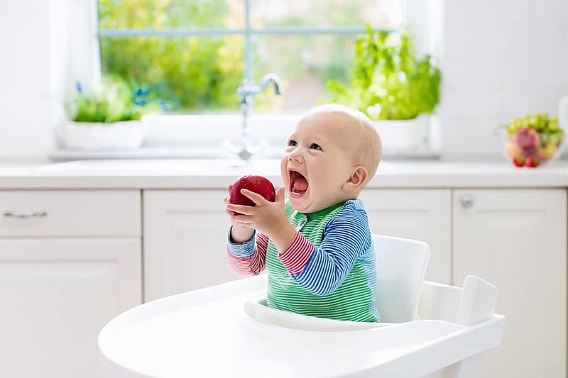 best high chair